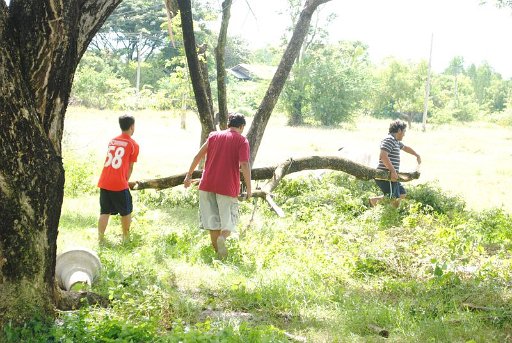 DSC_0345 Copy.JPG